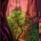 Puzzle - Heye - Éneklő kanyon