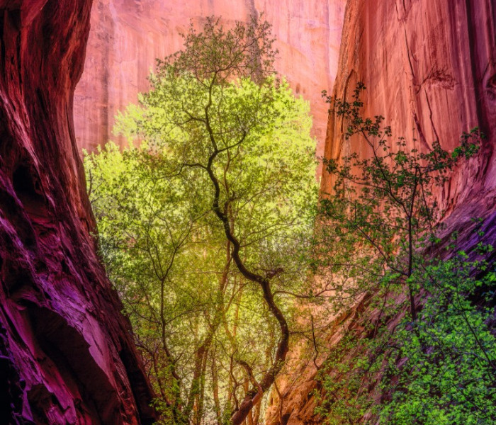 Puzzle - Heye - Éneklő kanyon