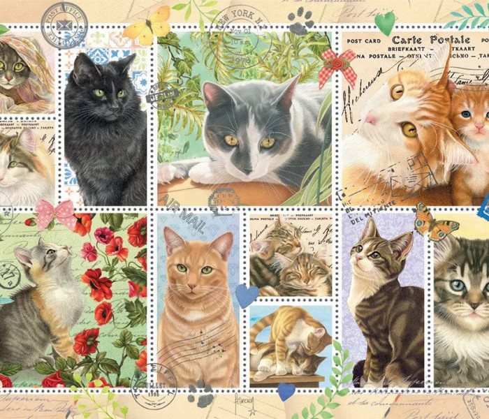 Puzzle - Jumbo - Macskacímkék