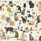 Puzzle - Jumbo - Macskák