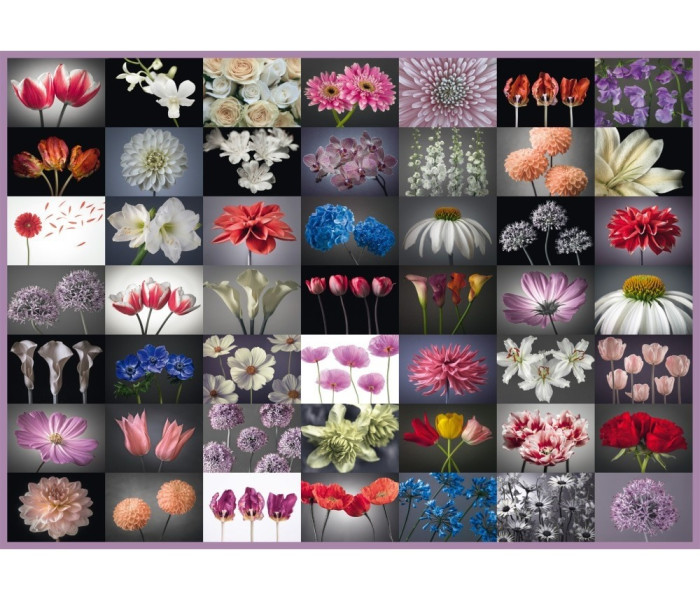 Puzzle - Schmidt - Virágos üdvözlőlap