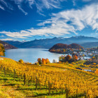 Puzzle - Schmidt - Szőlőskert