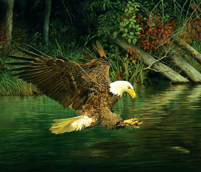 Puzzle - Sunsout - Sas vadászat közben