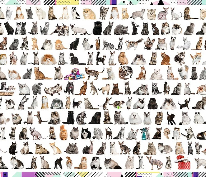 Puzzle - Trefl - 208 macska