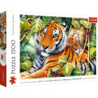 Puzzle - Trefl - Két tigris