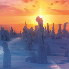 Puzzle - Trefl - Finn természet