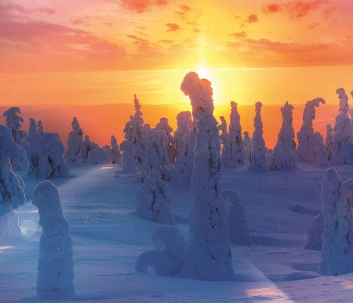 Puzzle - Trefl - Finn természet