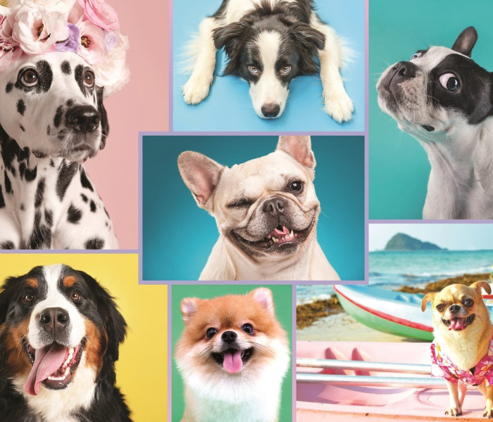 Puzzle - Trefl - Aranyos kutyák