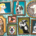 Puzzle - Trefl - Boldog kutyák