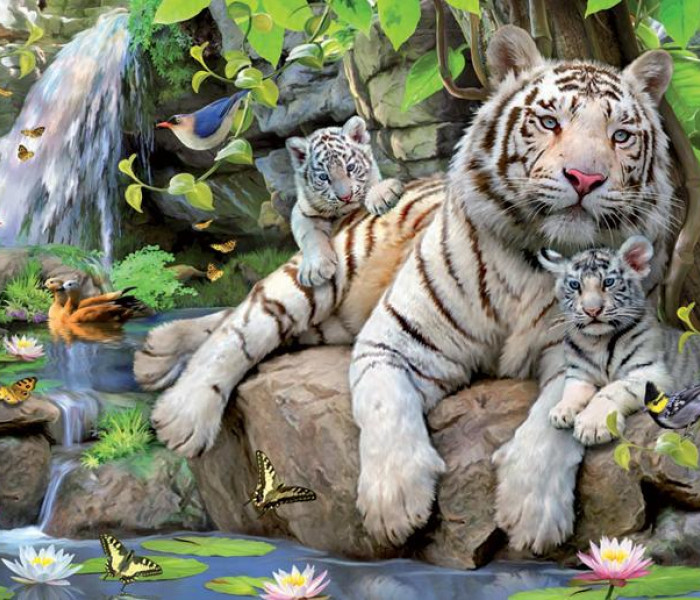 Puzzle - Educa - Fehér tigrisek