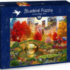 Puzzle - Bluebird - Centrál Park