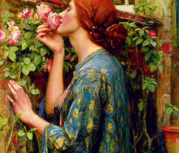 Puzzle - Bluebird - A rózsa lelke