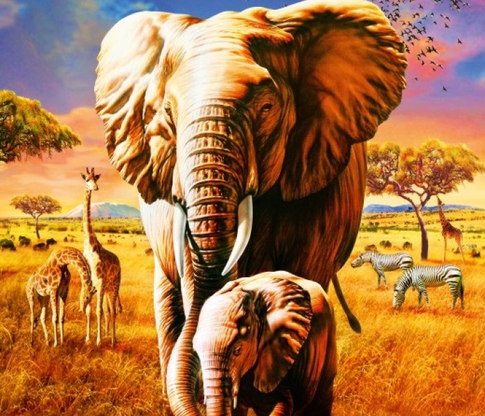 Puzzle - Bluebird - Elefántok