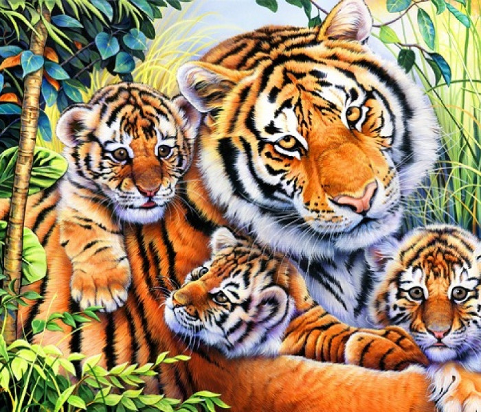 Puzzle - Bluebird - Tigris család