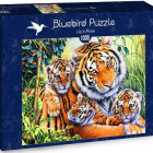 Puzzle - Bluebird - Tigris család