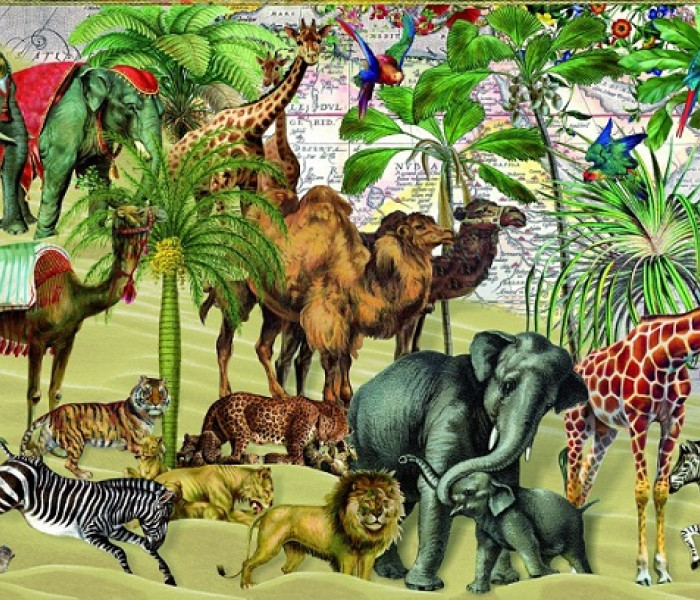 Puzzle - Bluebird - Állatok sivatagban