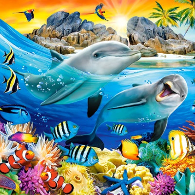 Delfinek a trópusokon 