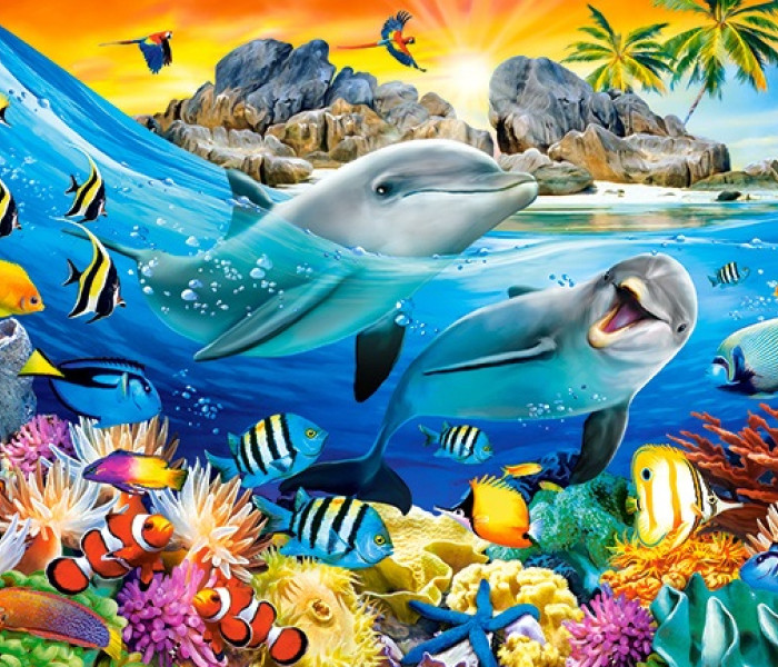 Puzzle - Castorland - Delfinek a trópusokon
