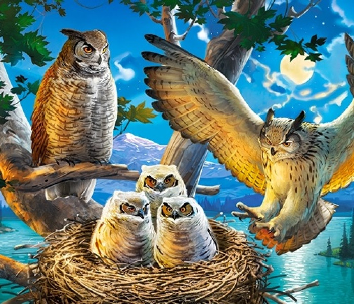 Puzzle - Castorland - Bagoly család