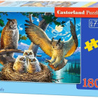 Puzzle - Castorland - Bagoly család