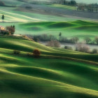 Puzzle - Clementoni - Toszkána