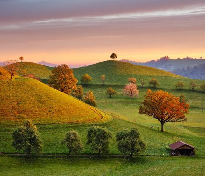 Puzzle - Dino - Mesebeli napfelkelte