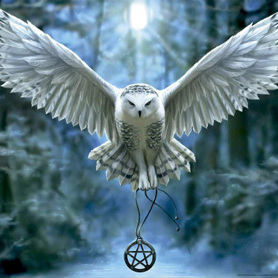 Ébreszd fel a varázslatod