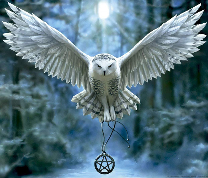 Puzzle - Educa - Ébreszd fel a varázslatod