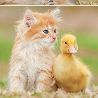 Imádnivaló barátok