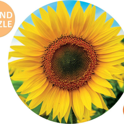 Puzzle Napraforgók - Kerek kirakó