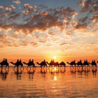 Puzzle - Educa - Aranyszínű naplemente, Ausztrália