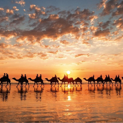 Aranyszínű naplemente, Ausztrália