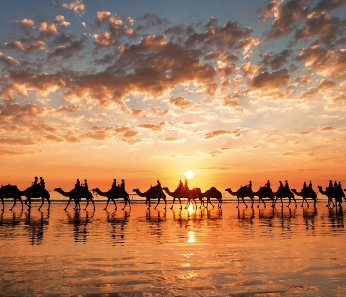 Puzzle - Educa - Aranyszínű naplemente, Ausztrália