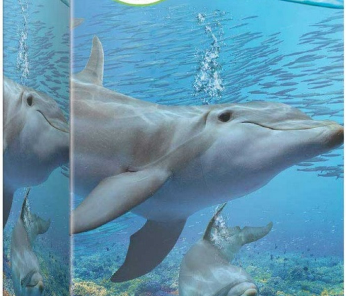 Puzzle - Eurographics - Delfinek