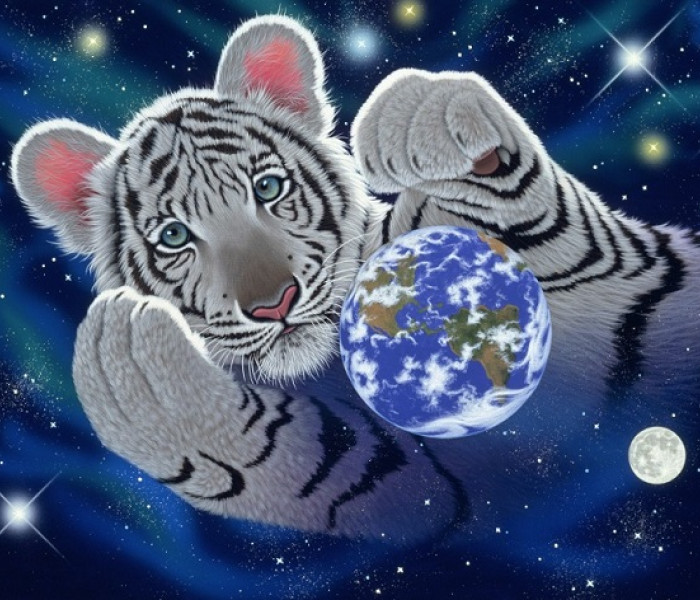 Puzzle - Grafika - A földkerekség áldozatai