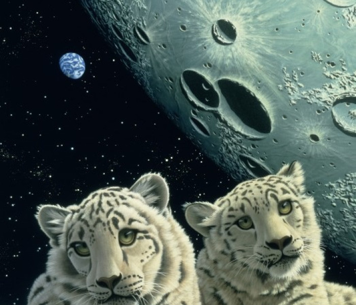 Puzzle - Grafika - Hópárducok