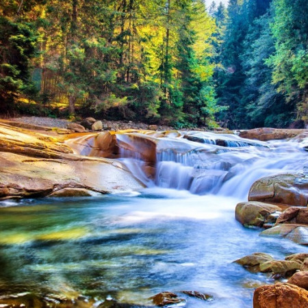 Vízesés az erdőben