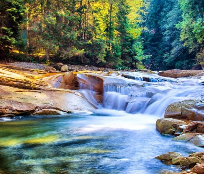 Puzzle - Grafika - Vízesés az erdőben