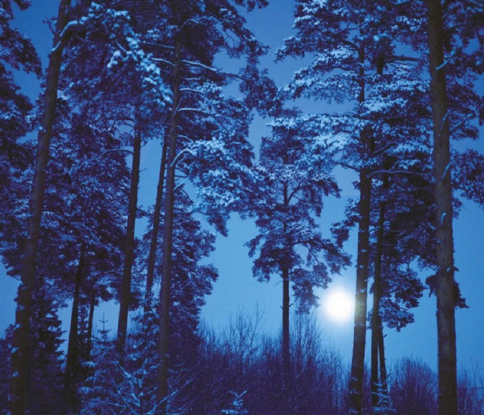 Puzzle - Heye - Telihold