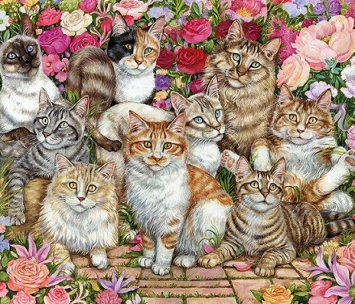 Puzzle - Falcon - Cicák a virágokban