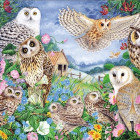 Puzzle - Falcon - Baglyok