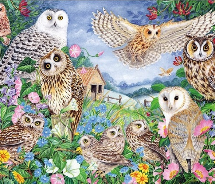 Puzzle - Falcon - Baglyok