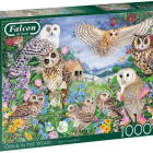 Puzzle - Falcon - Baglyok