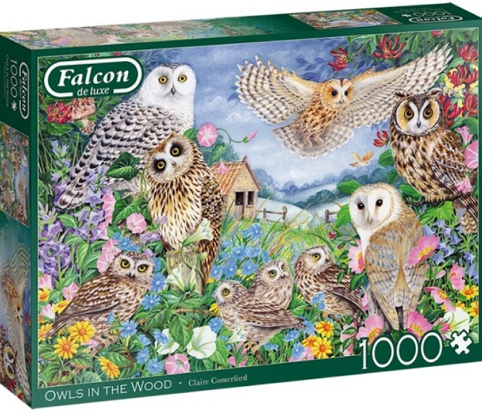 Puzzle - Falcon - Baglyok