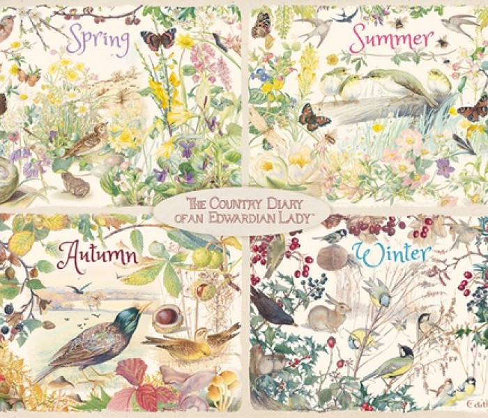 Puzzle - Falcon - Négy évszak vidéken