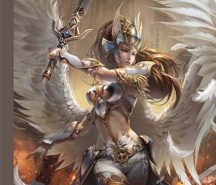 Puzzle - Jumbo - Harcos angyal