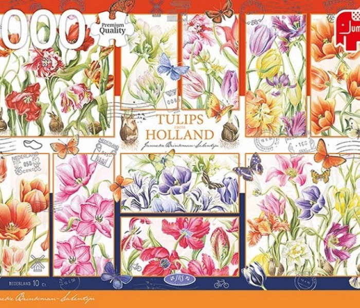Puzzle - Jumbo - Holland tulipánok