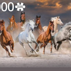 Puzzle - Jumbo - Szabadon járó lovak