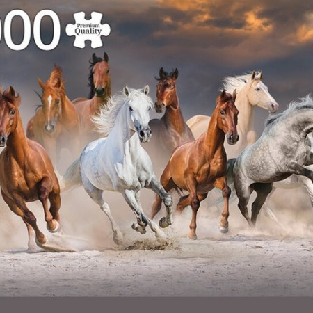 Szabadon járó lovak