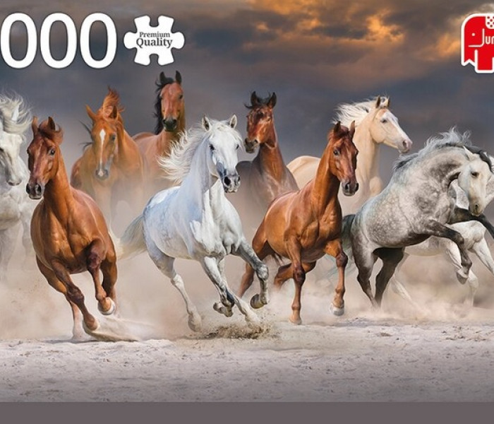 Puzzle - Jumbo - Szabadon járó lovak